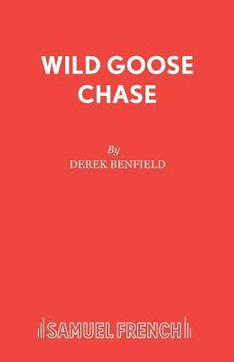 bokomslag Wild Goose Chase