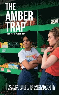 bokomslag Amber Trap