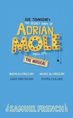 Sue Townsend - Secret Diary of Adrian Mole Aged 13, Häftad
