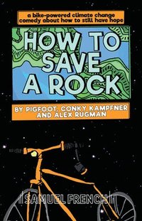 bokomslag How to Save a Rock