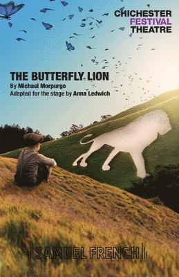 bokomslag Butterfly Lion