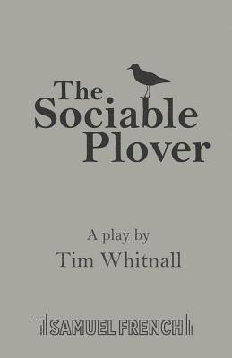 bokomslag Sociable Plover
