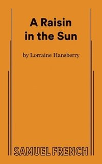 bokomslag Raisin in the Sun