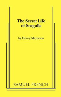 bokomslag The Secret Life of Seagulls