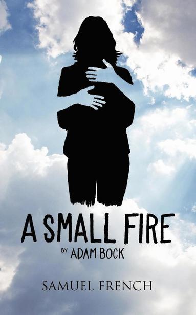 bokomslag Small Fire