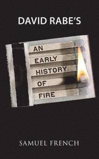 bokomslag An Early History of Fire
