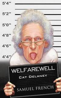bokomslag Welfarewell