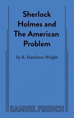 bokomslag Sherlock Holmes and the American Problem
