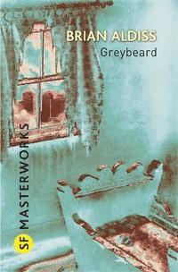 bokomslag Greybeard