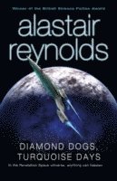 bokomslag Diamond Dogs, Turquoise Days