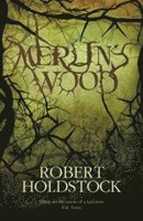 bokomslag Merlin's Wood