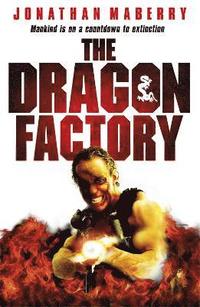 bokomslag Dragon Factory