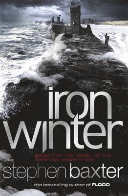 bokomslag Iron Winter