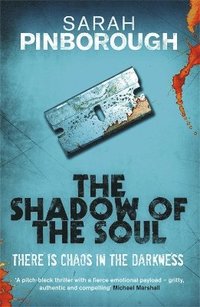 bokomslag Shadow of the Soul