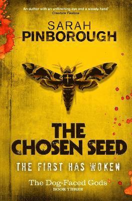 bokomslag Chosen Seed