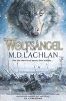 bokomslag Wolfsangel