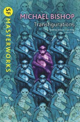 Transfigurations 1