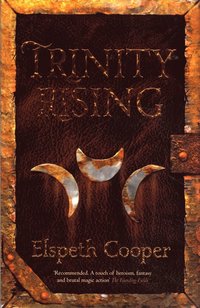 bokomslag Trinity Rising