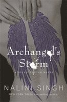 bokomslag Archangel's Storm