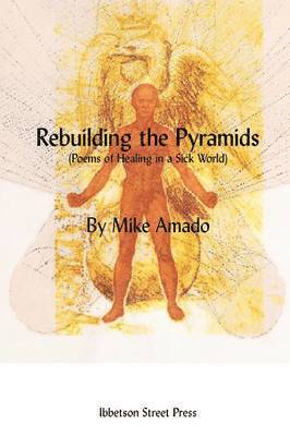 Rebuilding the Pyramids 1