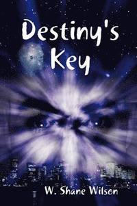 bokomslag Destiny's Key