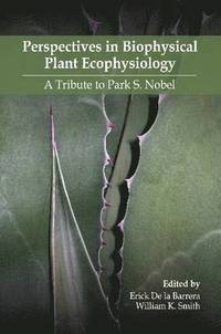 bokomslag Perspectives in Biophysical Plant Ecophysiology