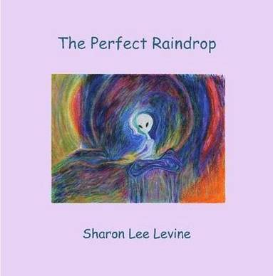 bokomslag Perfect Raindrop