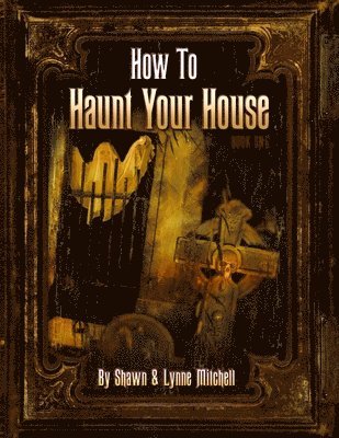 bokomslag How To Haunt Your House