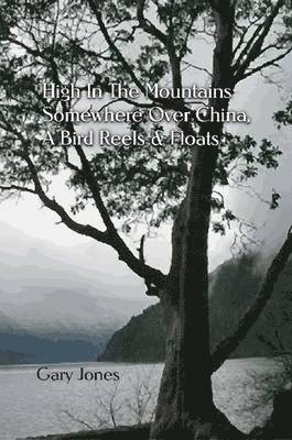 High In the Mountains Somewhere Over China, A Bird Reels & Floats