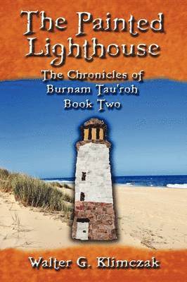 bokomslag Painted Lighthouse