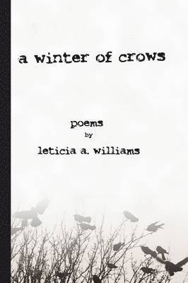 bokomslag winter of crows