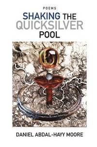 bokomslag Shaking the Quicksilver Pool / Poems