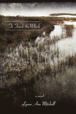 Lynne Mitchell - To Touch the Whale, Häftad