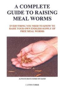 bokomslag A Complete Guide to Raising Meal Worms