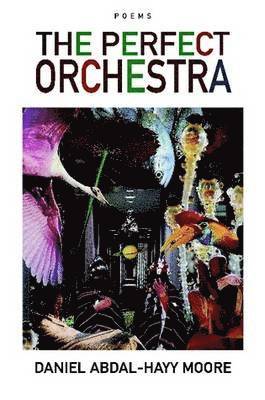 The Perfect Orchestra / Poems 1
