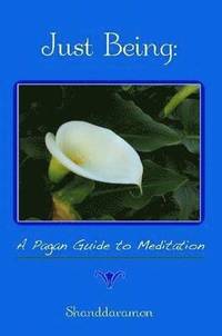 bokomslag Just Being: A Pagan Guide to Meditation