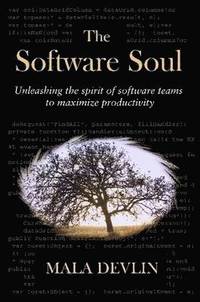 bokomslag The Software Soul