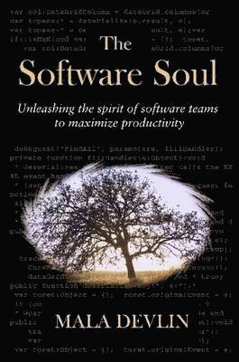 The Software Soul 1