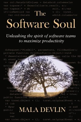 Software Soul