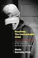 Sheila Zaretsky - Reaching the Unreachable Child: Using Emotional Wisdom To Help Children Recover from Hopelessness and Negativity, Häftad