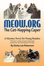 bokomslag Meow.org: The Cat-Napping Caper