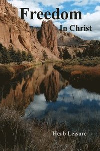 bokomslag Freedom In Christ