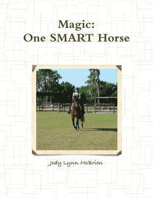 Magic One SMART Horse 1