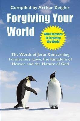 bokomslag Forgiving Your World