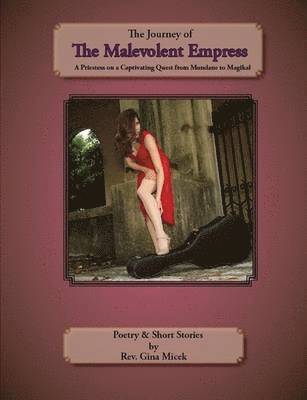 bokomslag The Journey of the Malevolent Empress