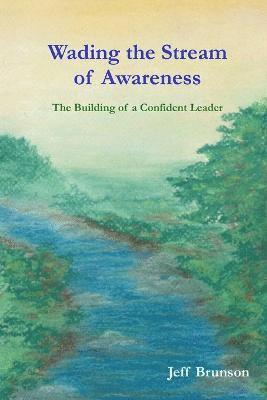 Wading the Stream of Awareness 1