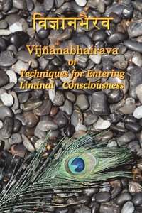 bokomslag Vijnaanabhairava or Techniques for Entering Liminal Consciousness
