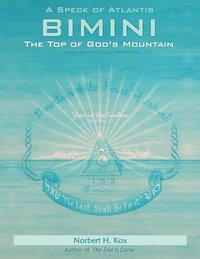 bokomslag A Speck of Atlantis - Bimini: the Top of God's Mountain