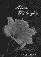 bokomslag After Midnight: Love's Journey