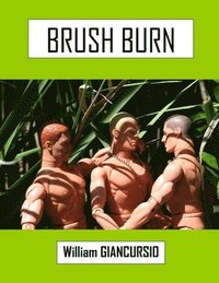 bokomslag Brush Burn